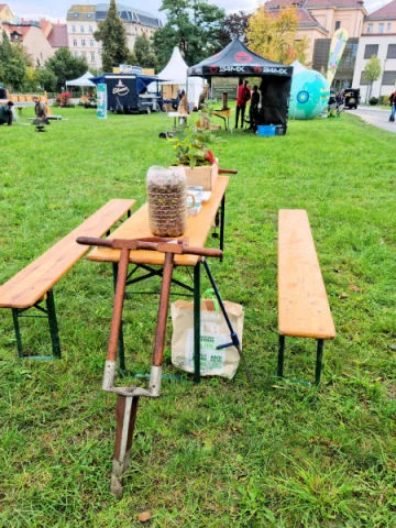 Festplatz grüne Insel im Festgebiet in Zittau